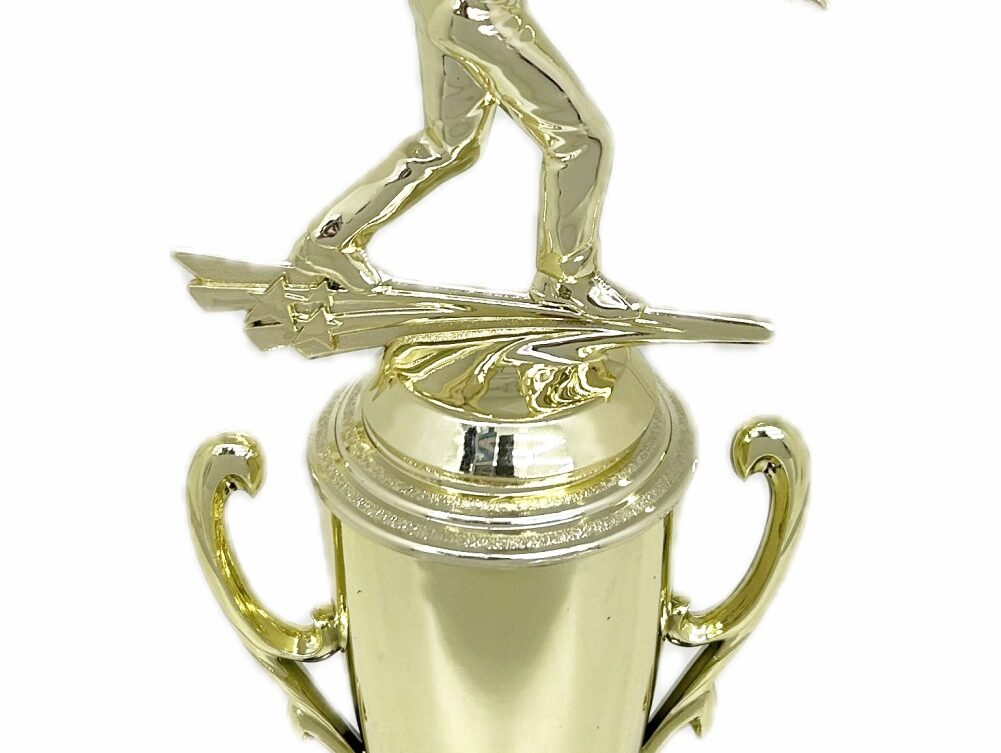 Ten Pin Bowling Allstar Male Trophy 325mm