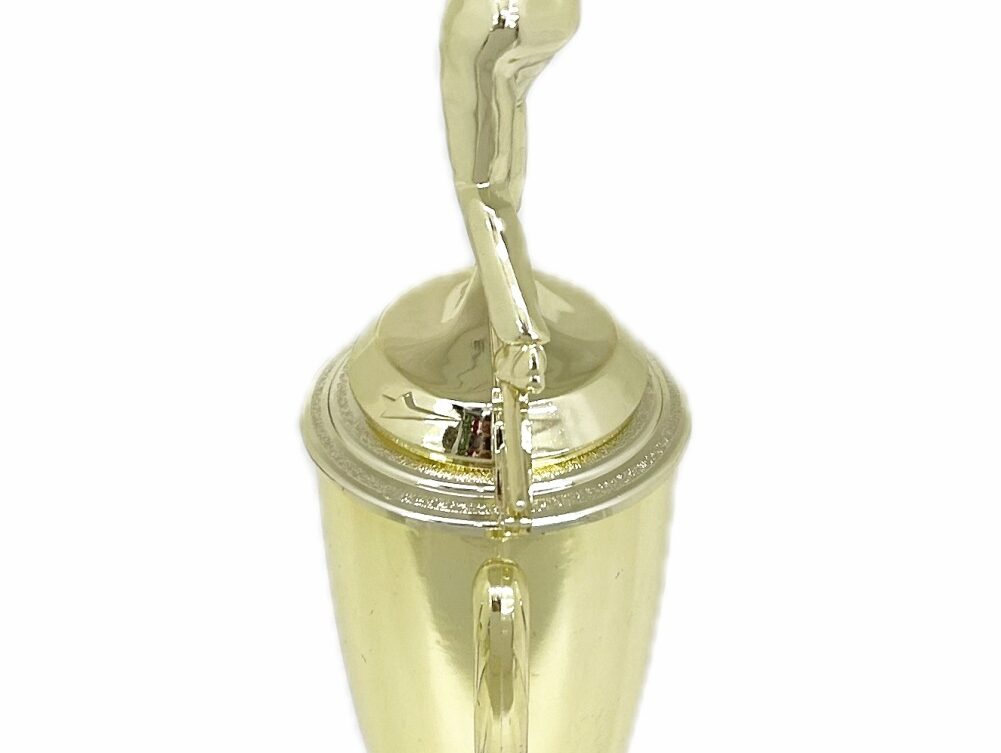 Ten Pin Bowling Allstar Male Trophy 325mm