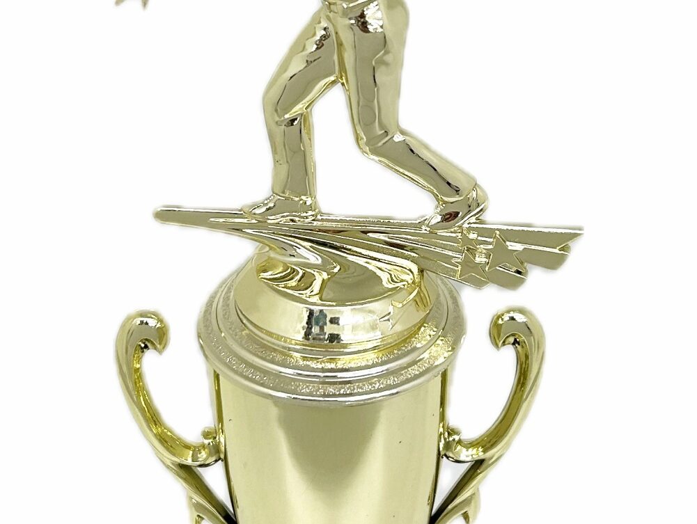 Ten Pin Bowling Allstar Male Trophy 325mm