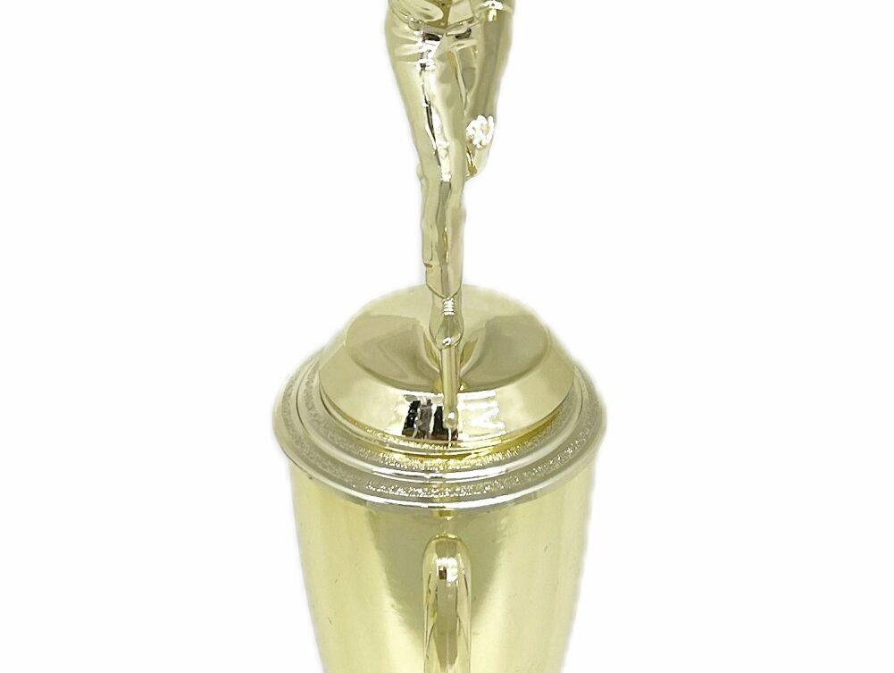 Ten Pin Bowling Allstar Male Trophy 325mm