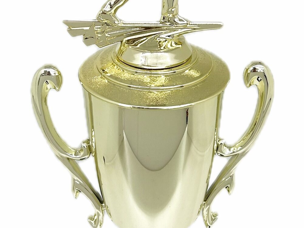 Ten Pin Bowling Allstar Male Trophy 365mm