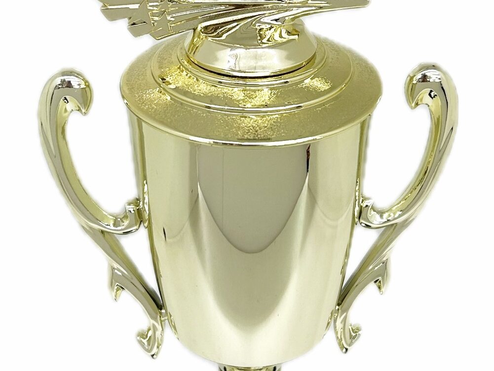 Ten Pin Bowling Allstar Male Trophy 405mm