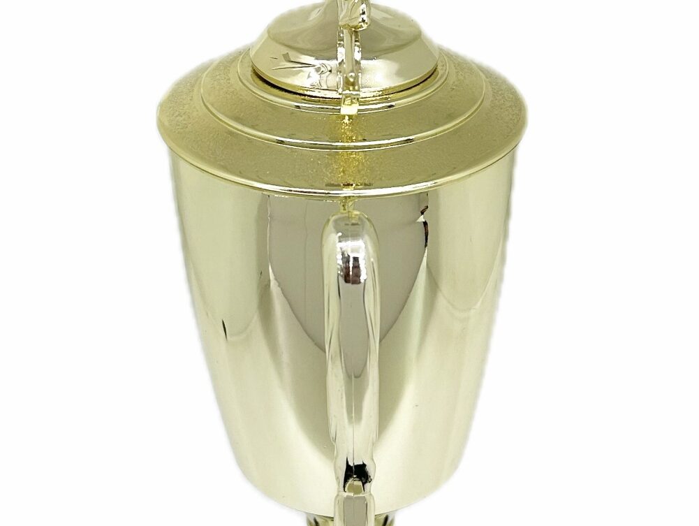 Ten Pin Bowling Allstar Male Trophy 405mm
