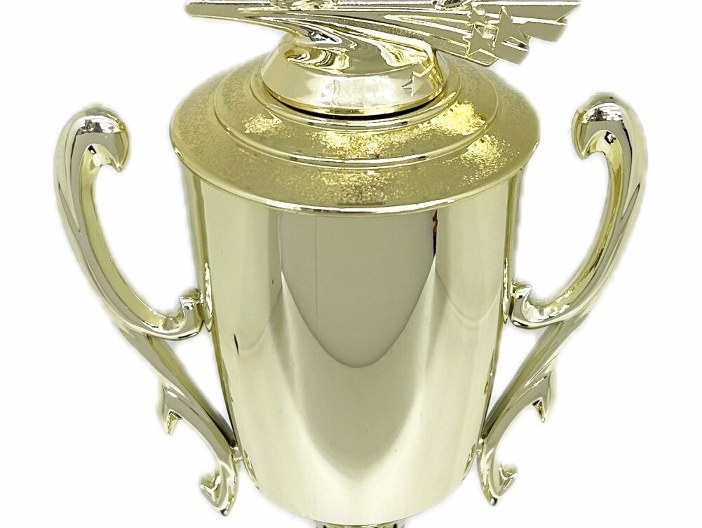 Ten Pin Bowling Allstar Male Trophy 405mm