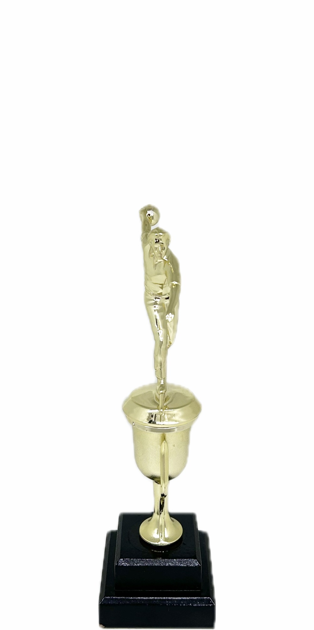 Ten Pin Bowling Allstar Male Trophy 265mm