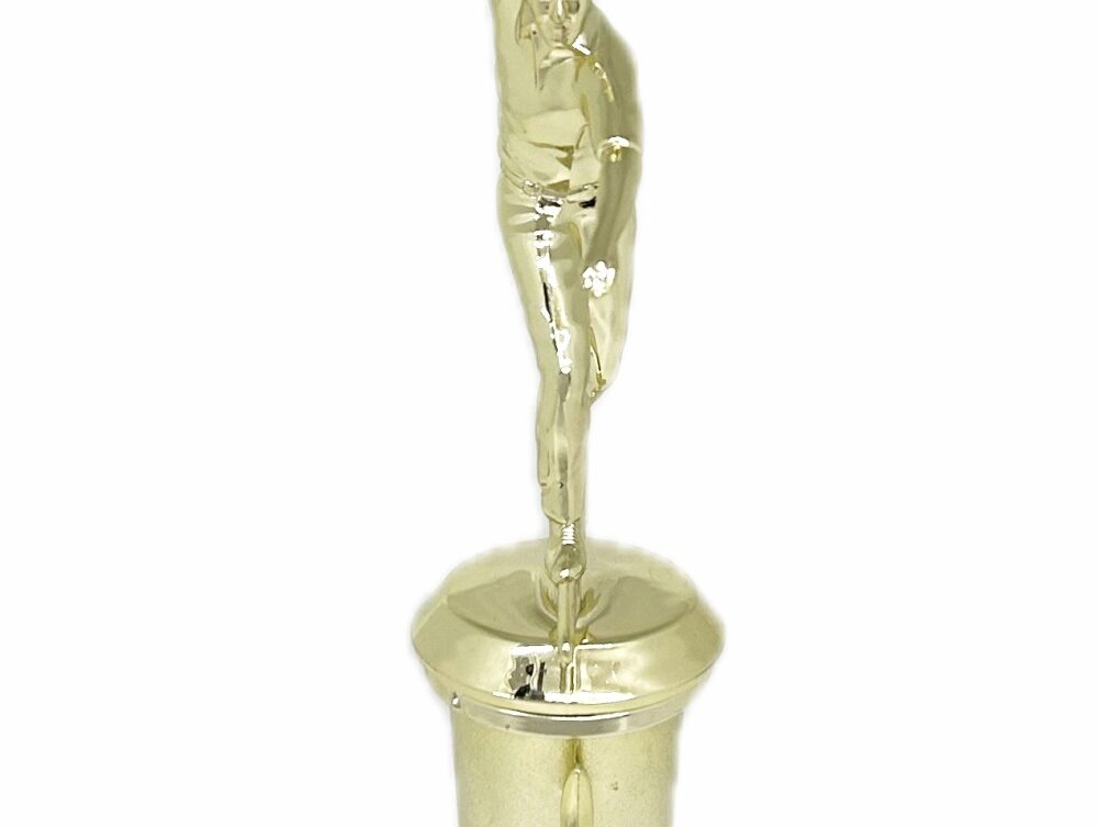 Ten Pin Bowling Allstar Male Trophy 285mm