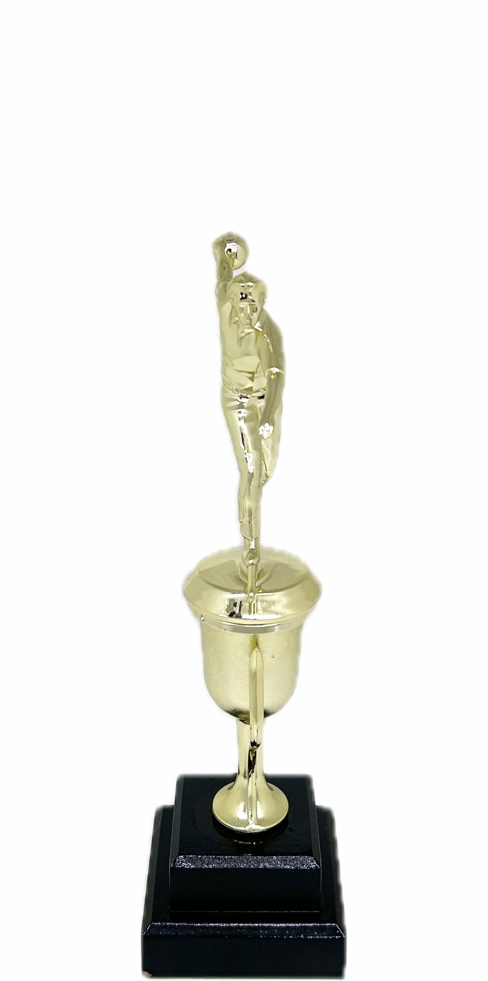 Ten Pin Bowling Allstar Male Trophy 285mm