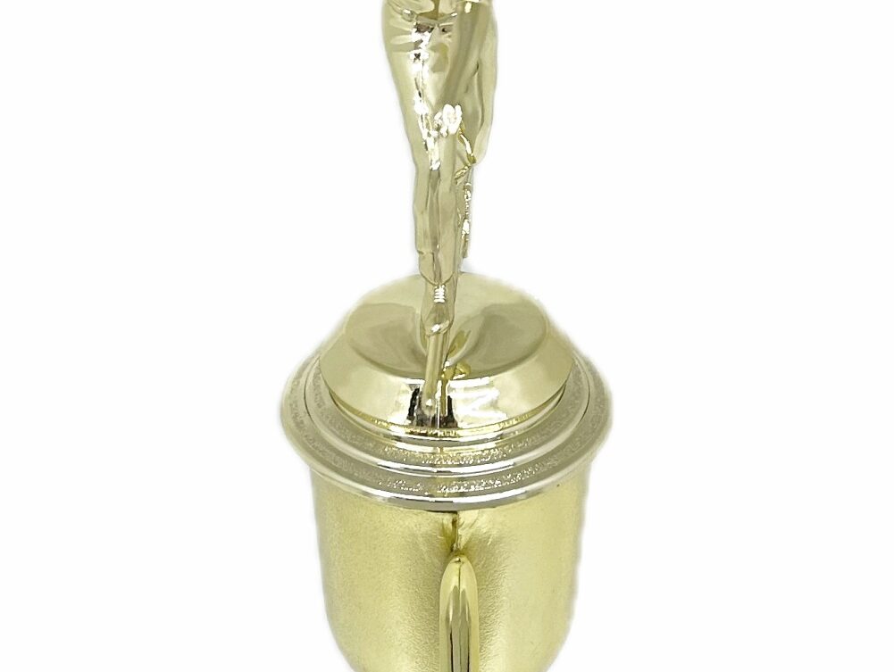 Ten Pin Bowling Allstar Male Trophy 325mm