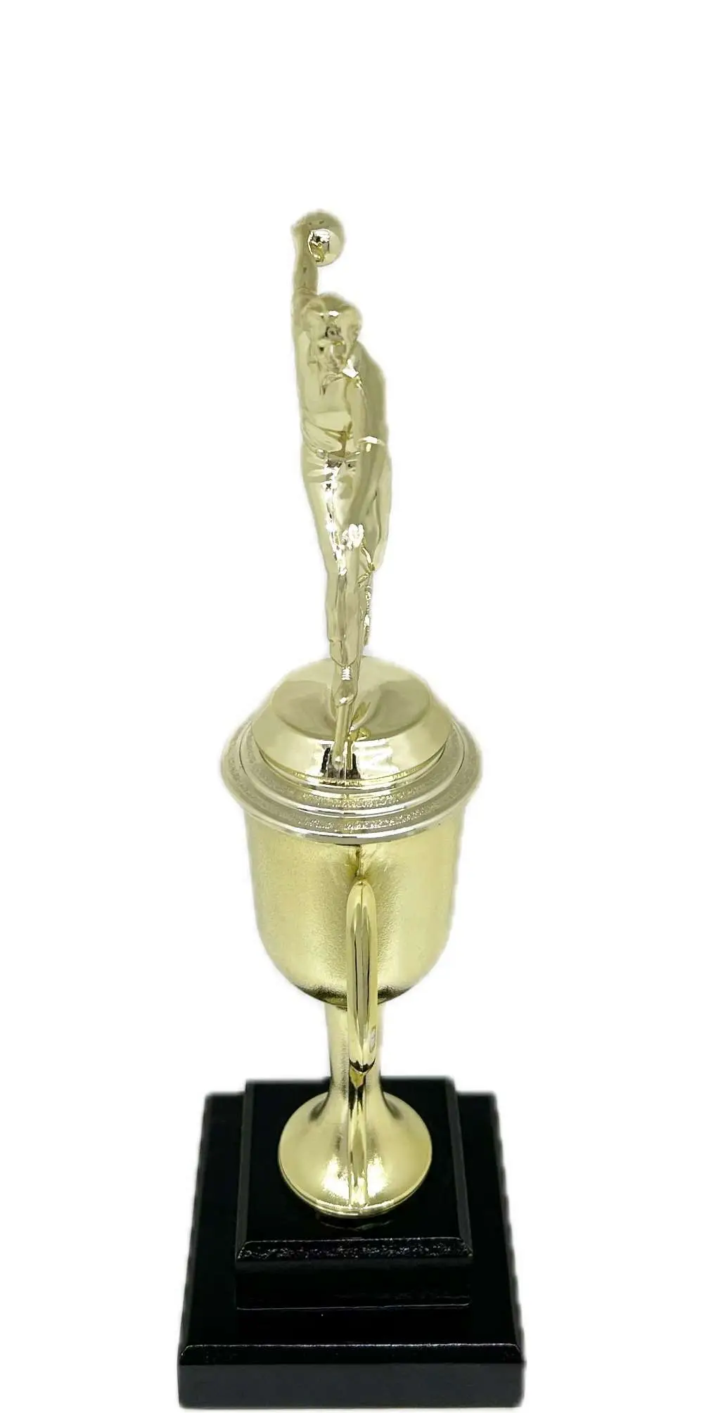 Ten Pin Bowling Allstar Male Trophy 325mm
