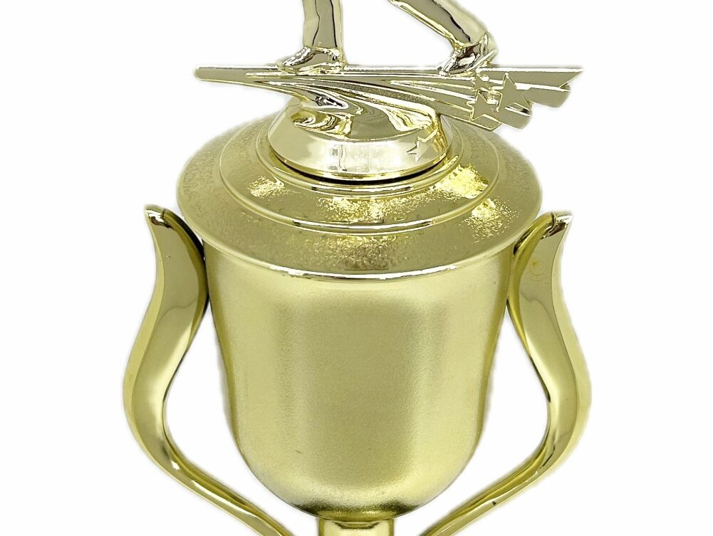 Ten Pin Bowling Allstar Male Trophy 365mm
