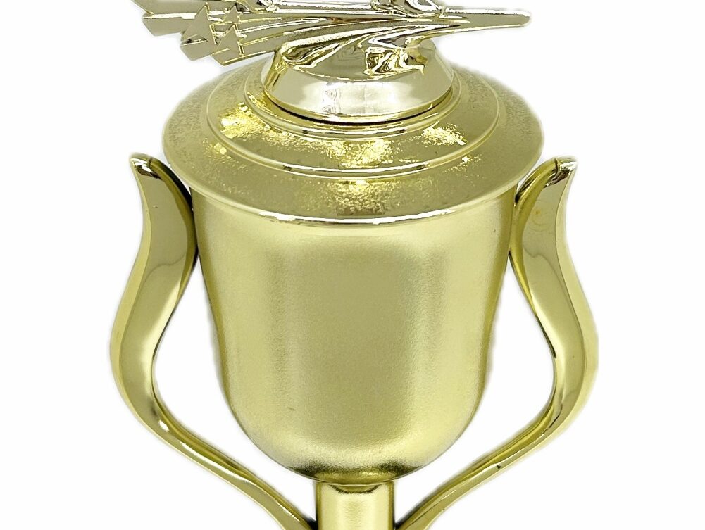 Ten Pin Bowling Allstar Male Trophy 405mm