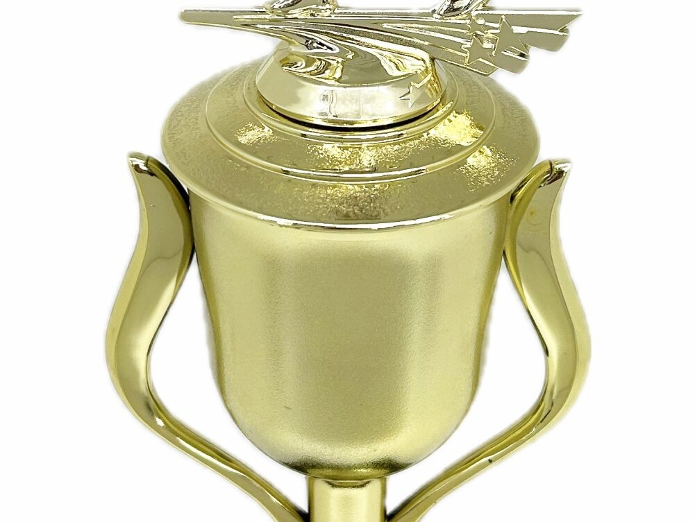 Ten Pin Bowling Allstar Male Trophy 405mm