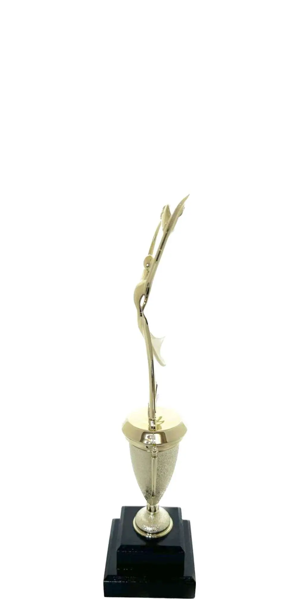 Modern Dancing Trophy 295mm