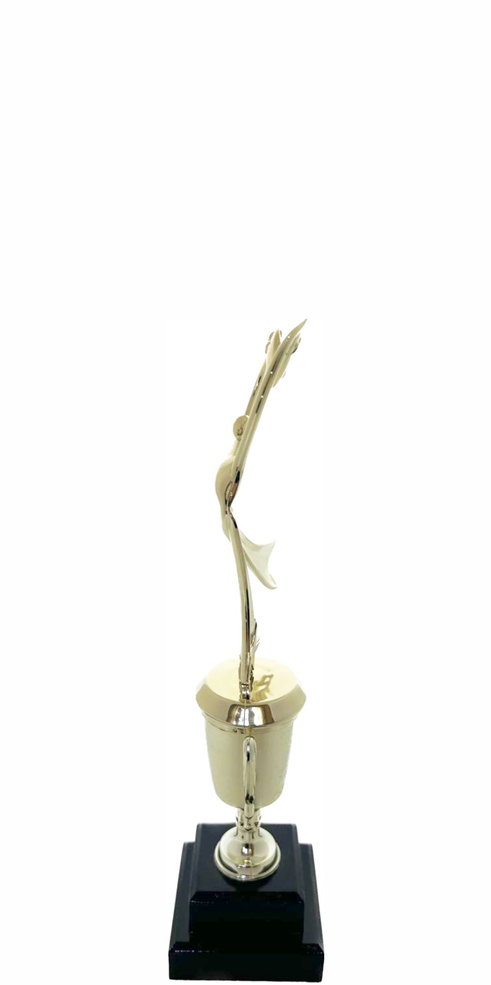 Modern Dancing Trophy 295mm