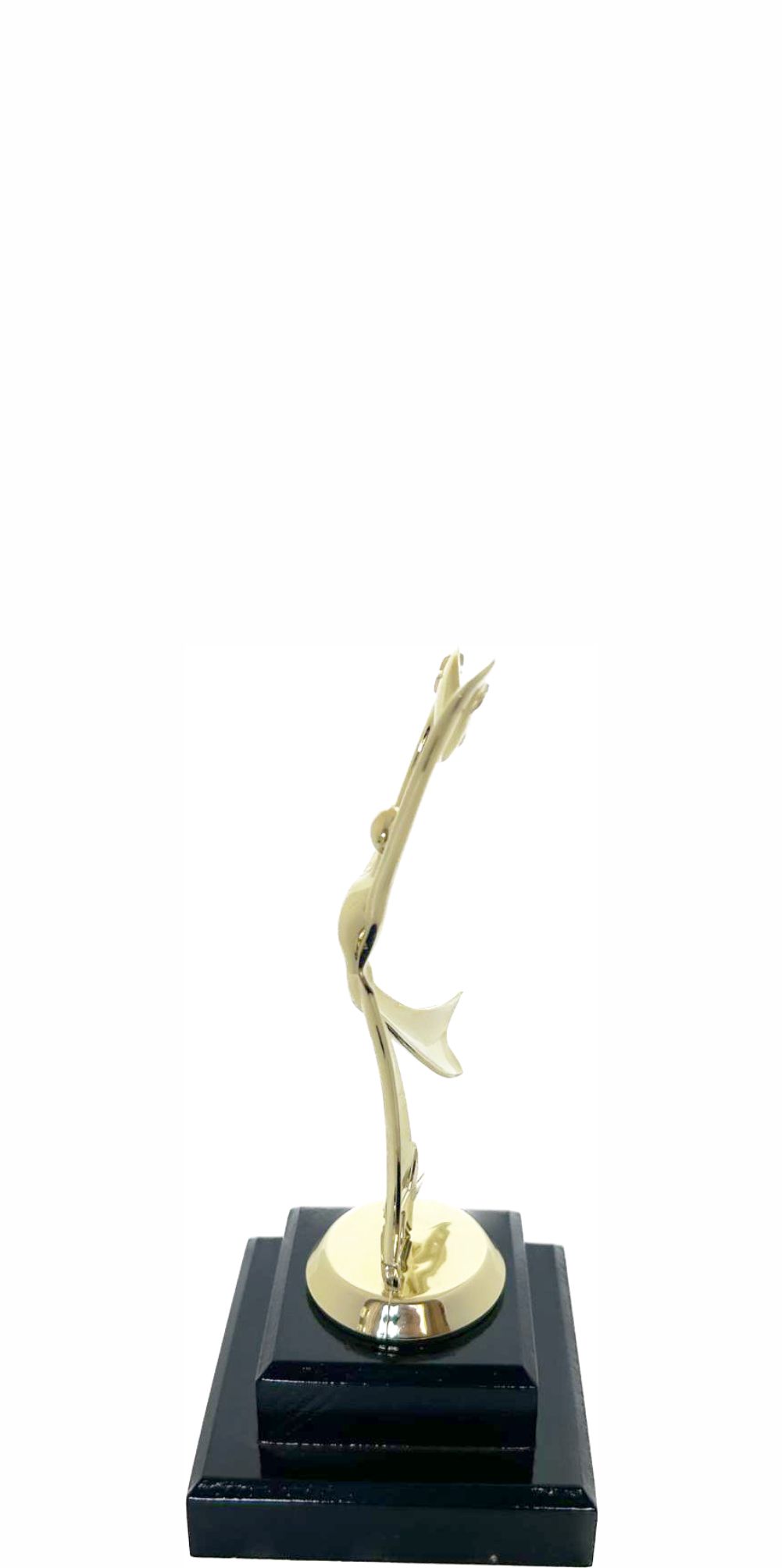 Modern Dancing Trophy 250mm