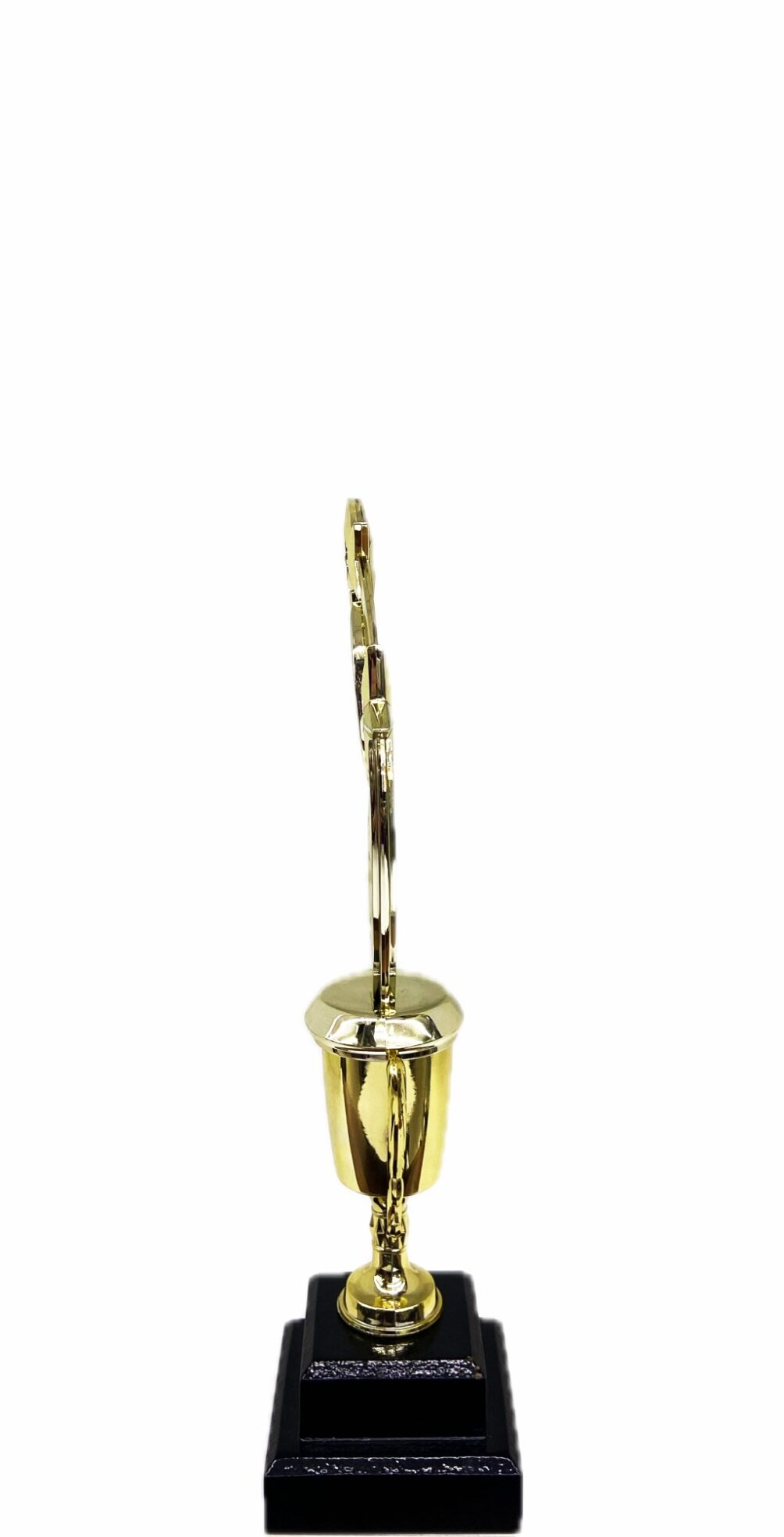 Astro Star Trophy 305mm