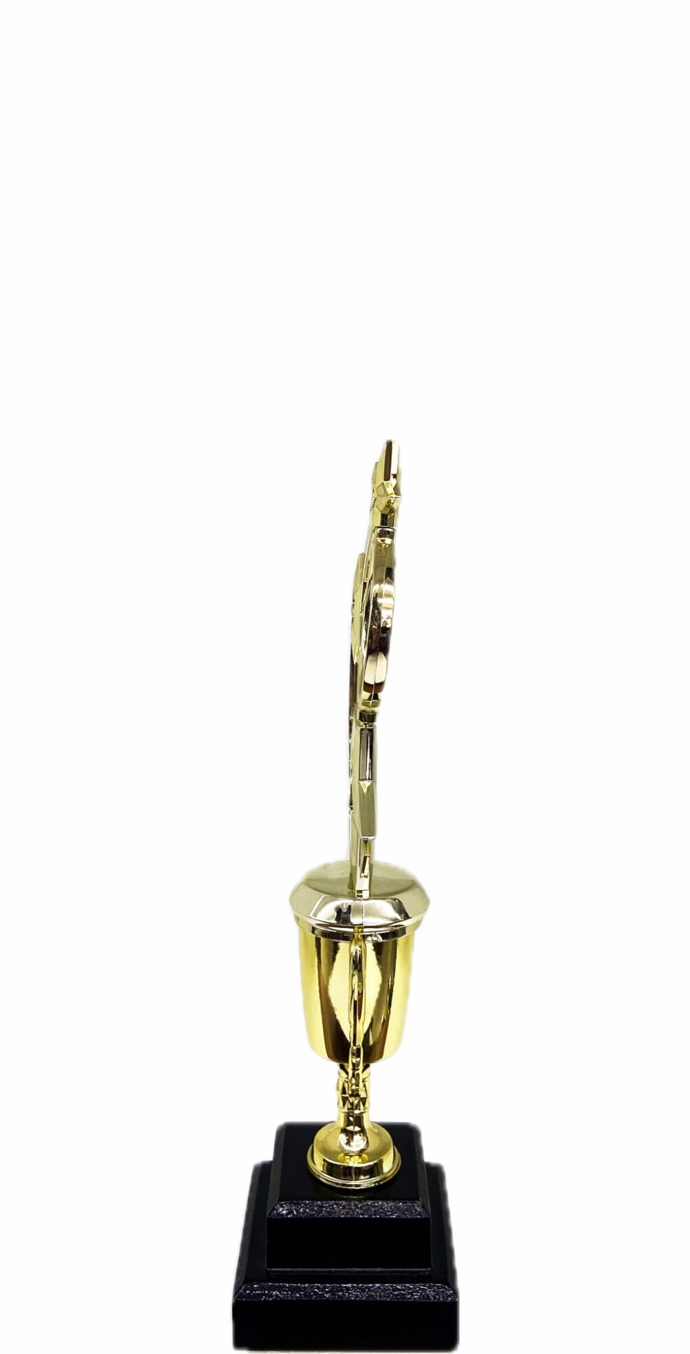 Astro Star Trophy 305mm