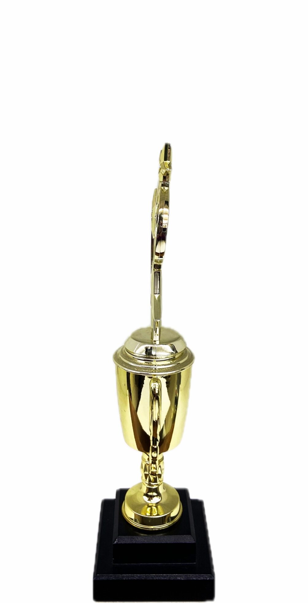 Astro Star Trophy 330mm