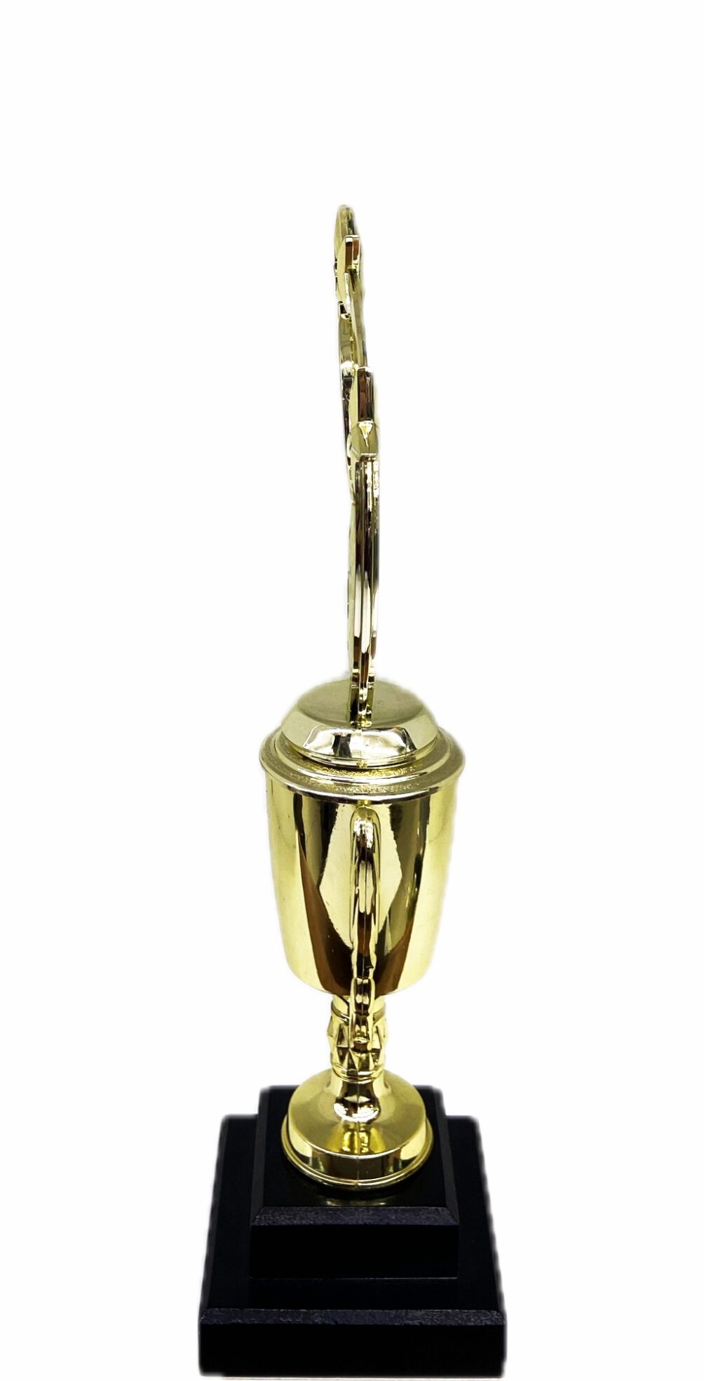 Astro Star Trophy 365mm