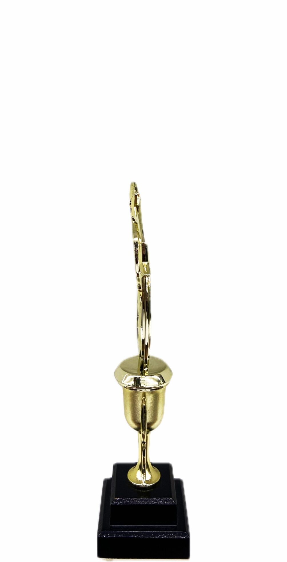 Astro Star Trophy 305mm