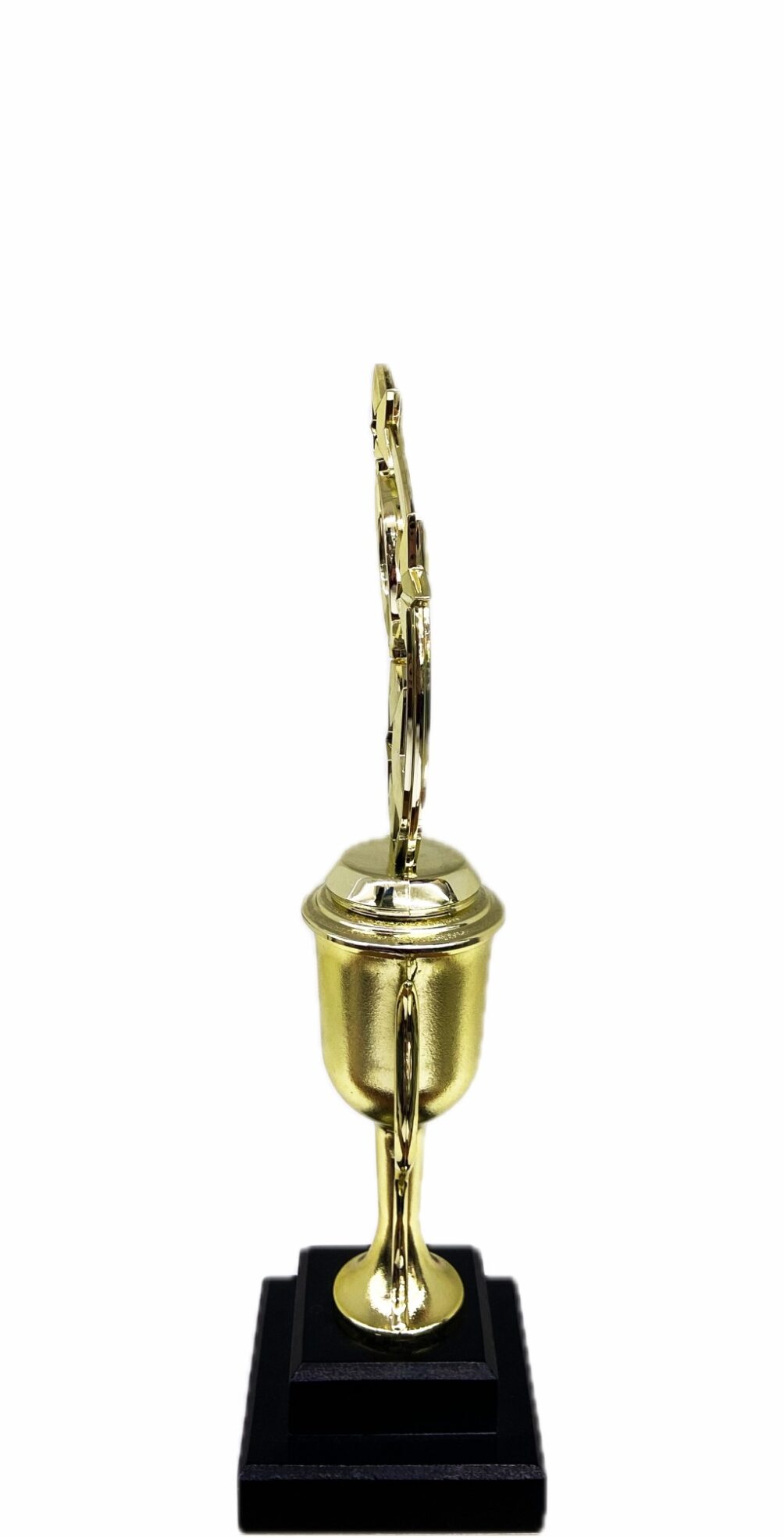 Astro Star Trophy 330mm