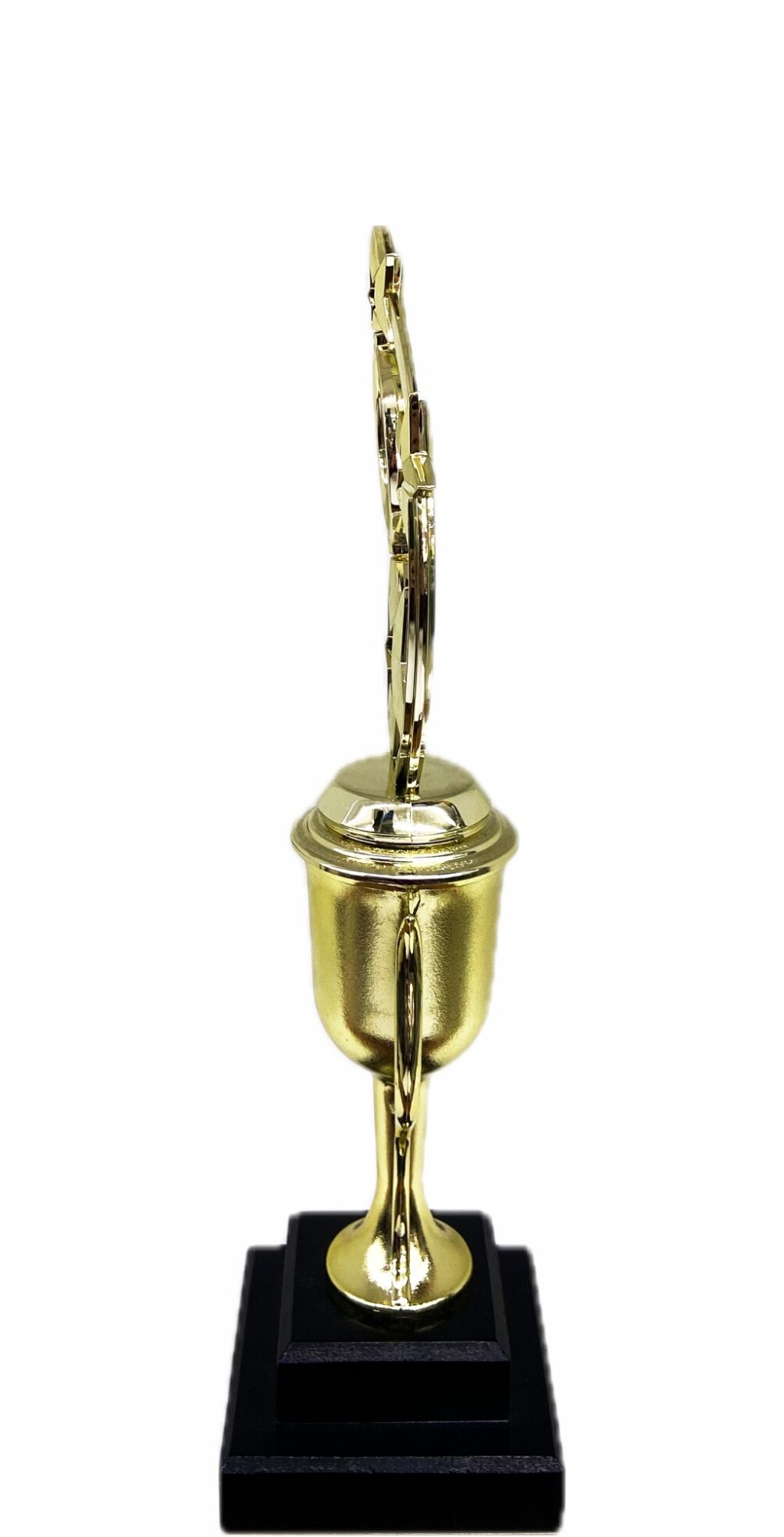 Astro Star Trophy 365mm