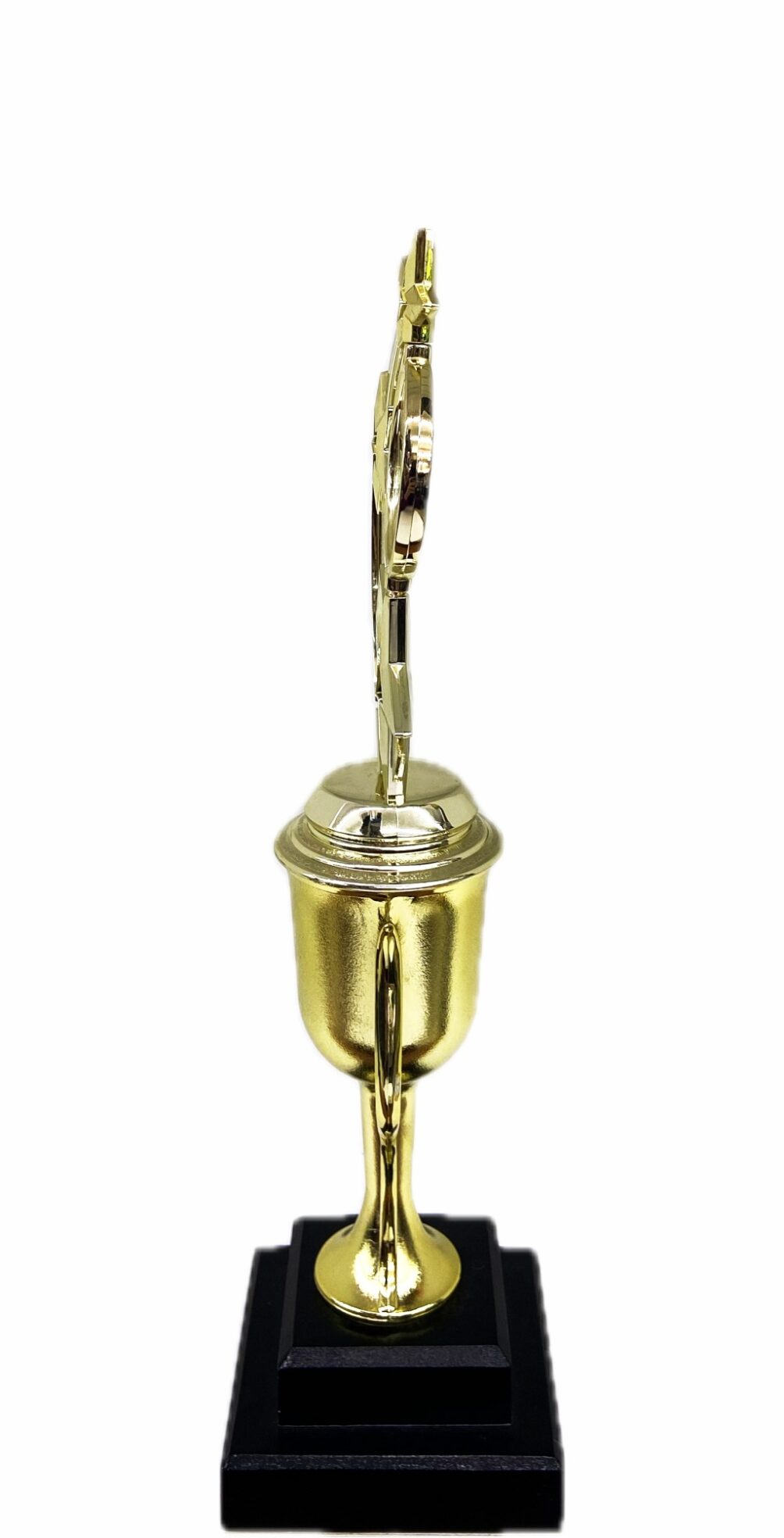 Astro Star Trophy 365mm