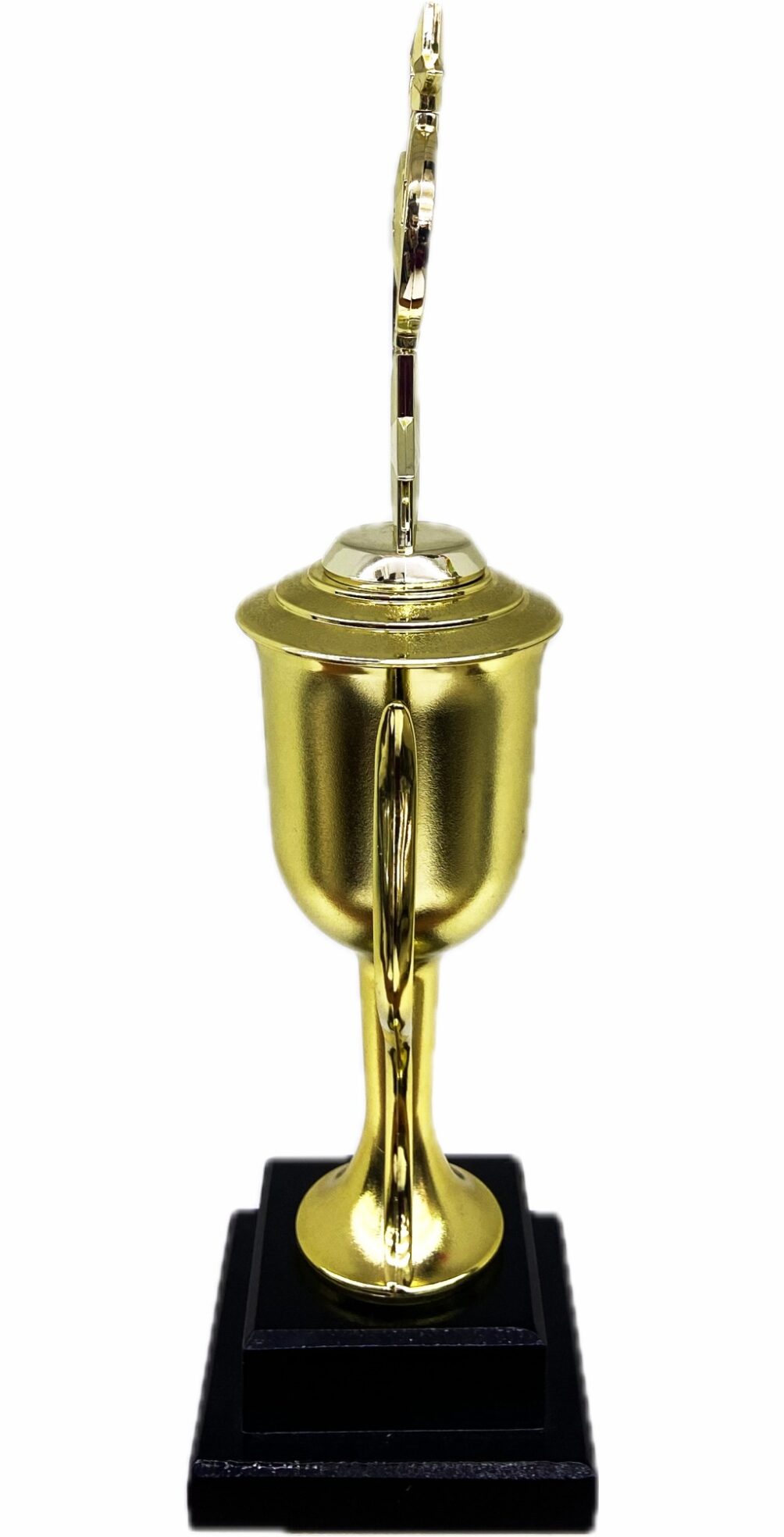 Astro Star Trophy 445mm