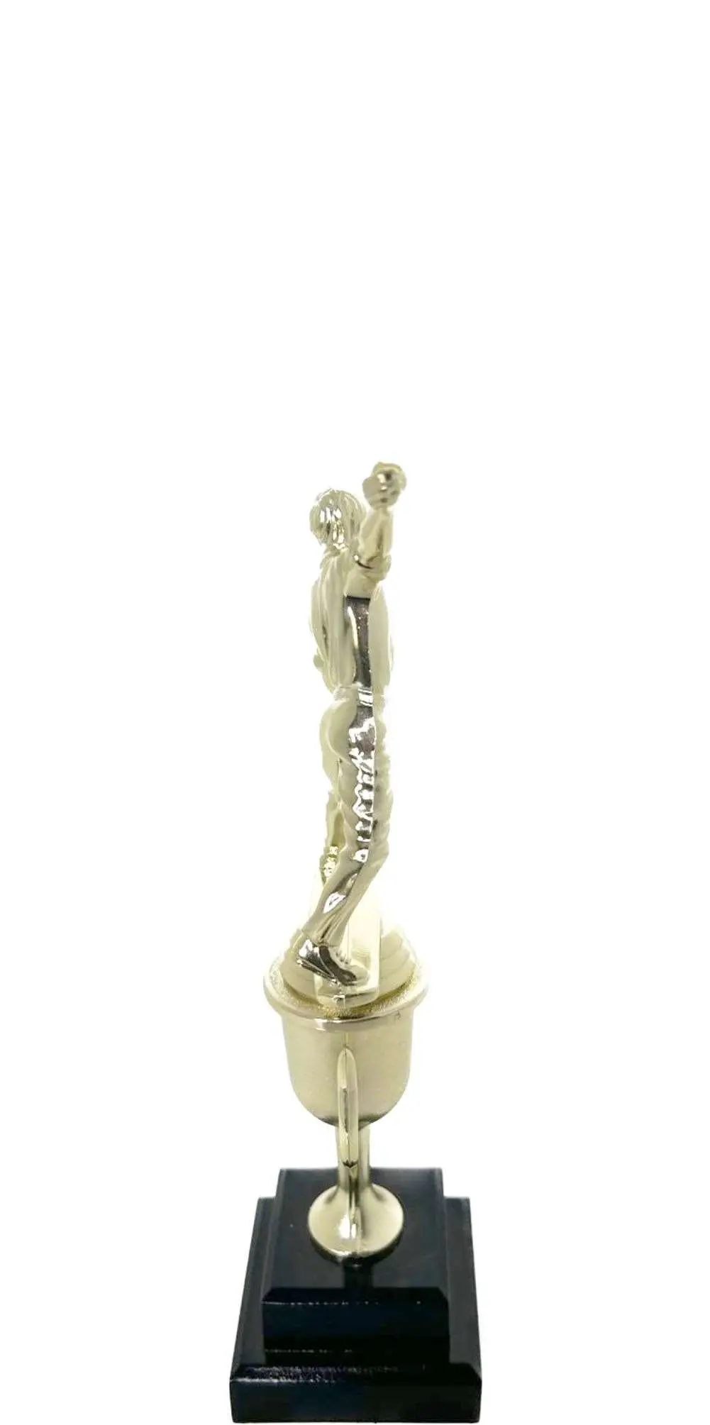 Cricket Bowler Trophy 275mm