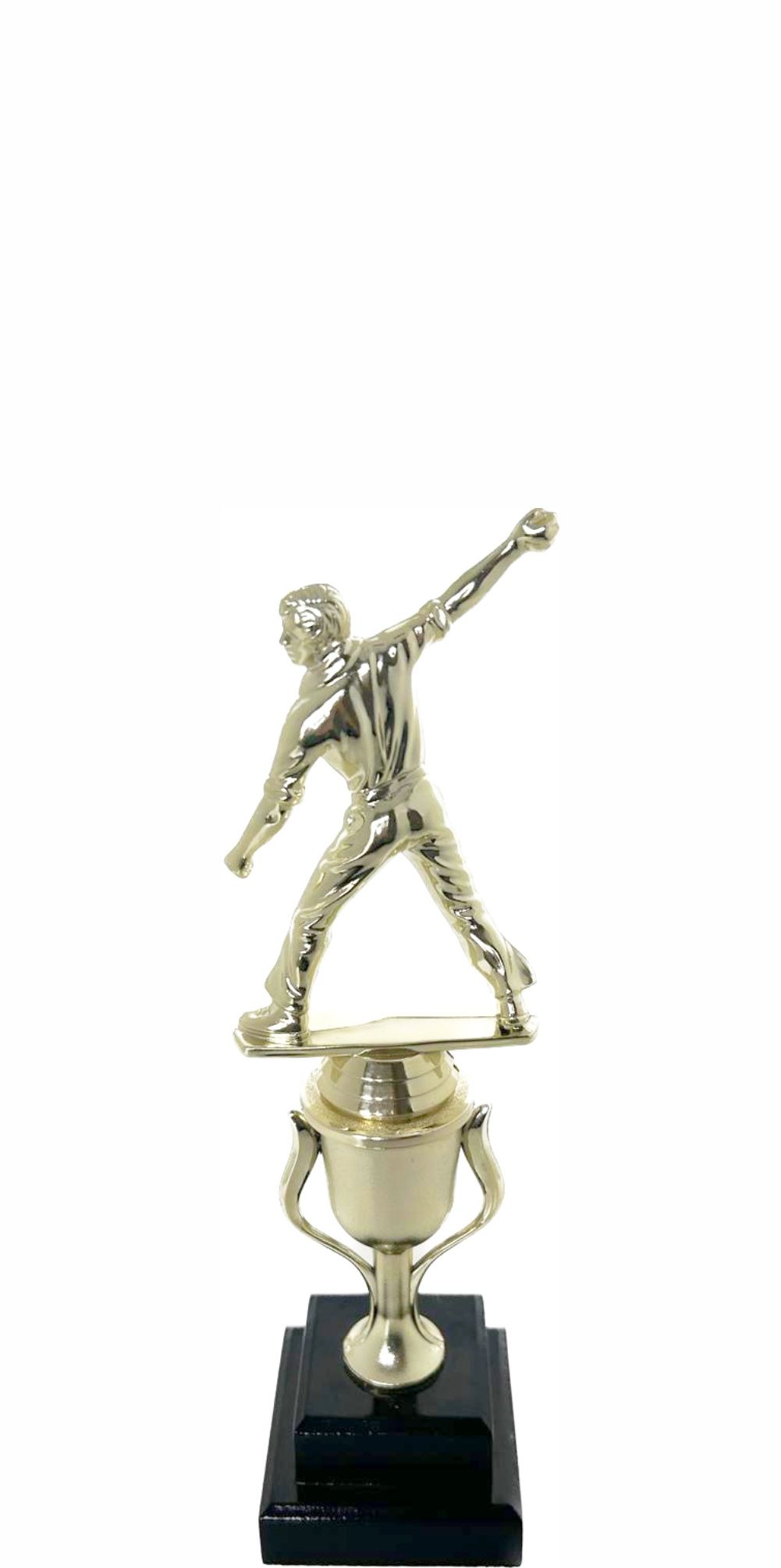 Cricket Bowler Trophy 275mm