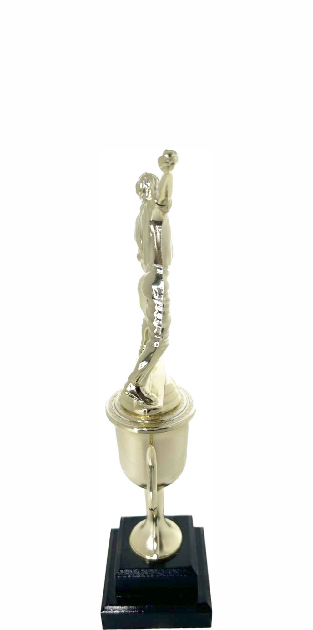 Cricket Bowler Trophy 295mm