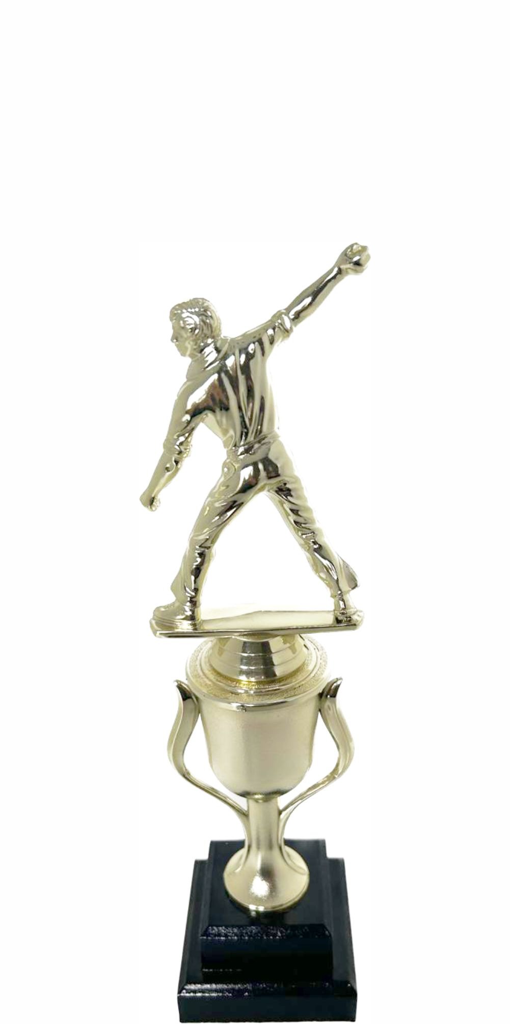 Cricket Bowler Trophy 295mm