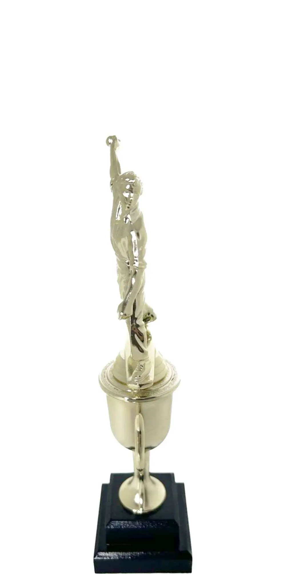 Cricket Bowler Trophy 295mm