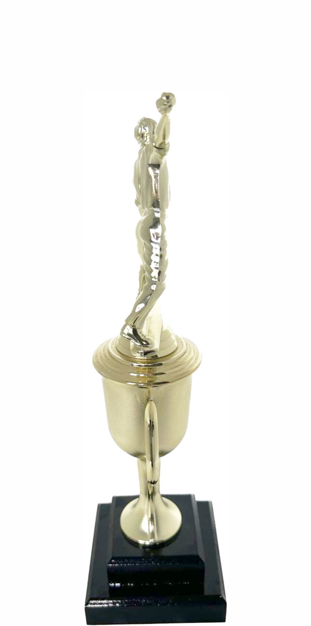 Cricket Bowler Trophy 325mm
