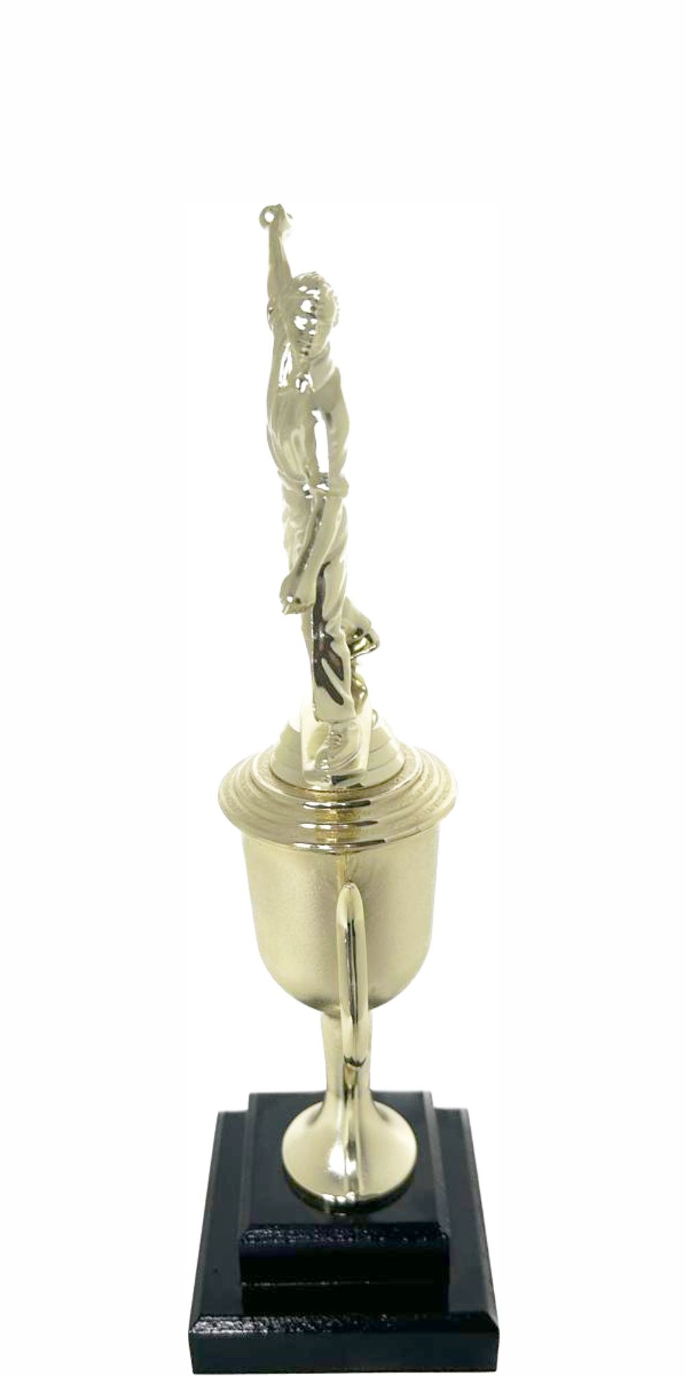 Cricket Bowler Trophy 325mm