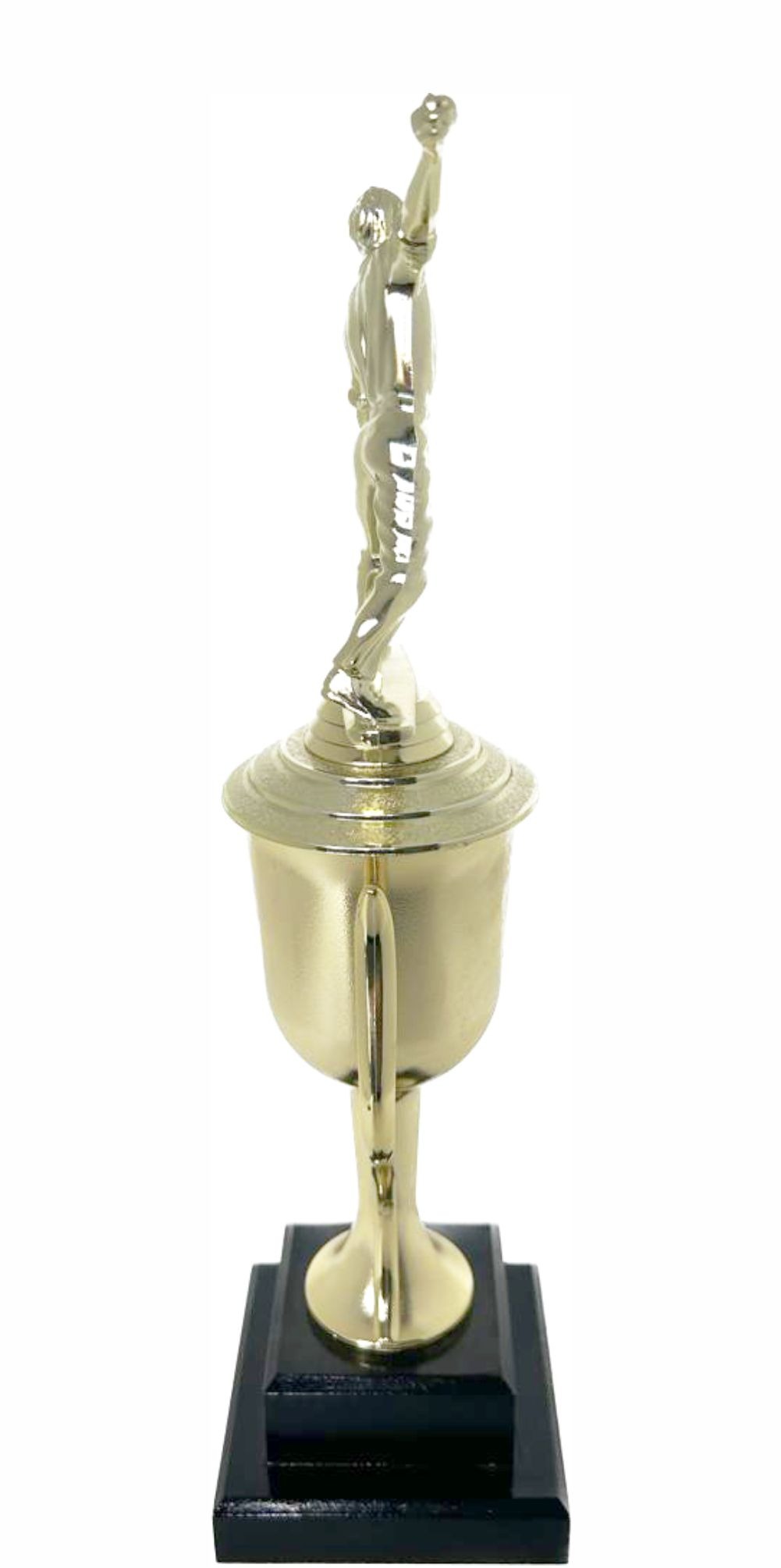 Cricket Bowler Trophy 365mm