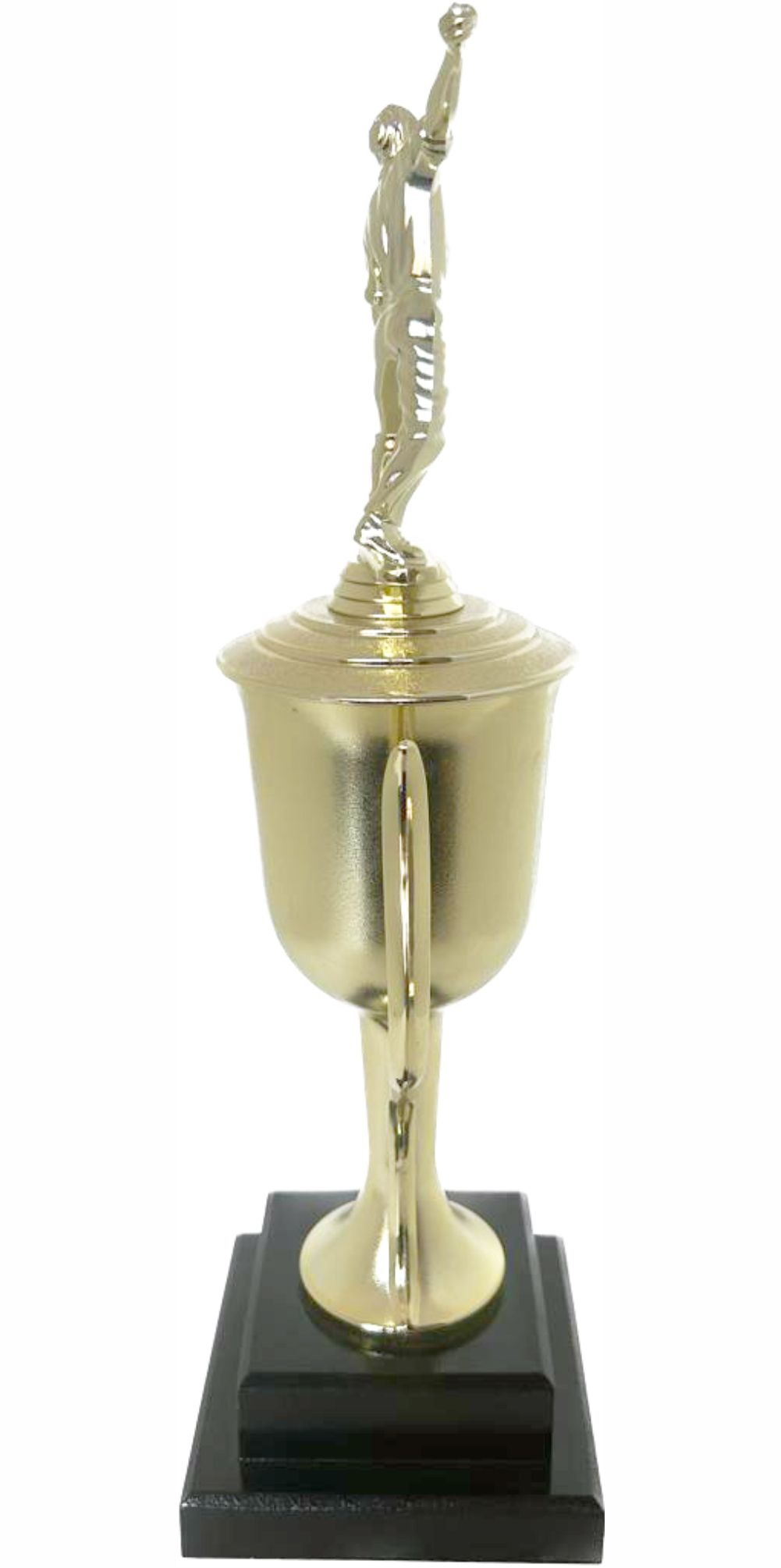 Cricket Bowler Trophy 405mm