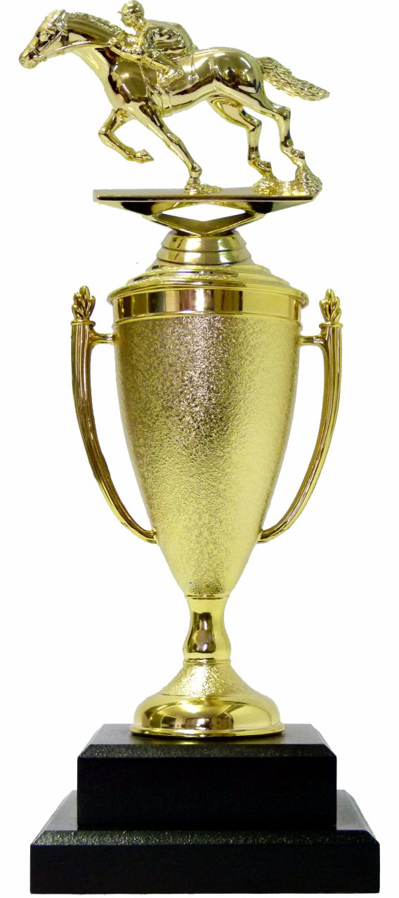 Horse Racing Trophy 325mm