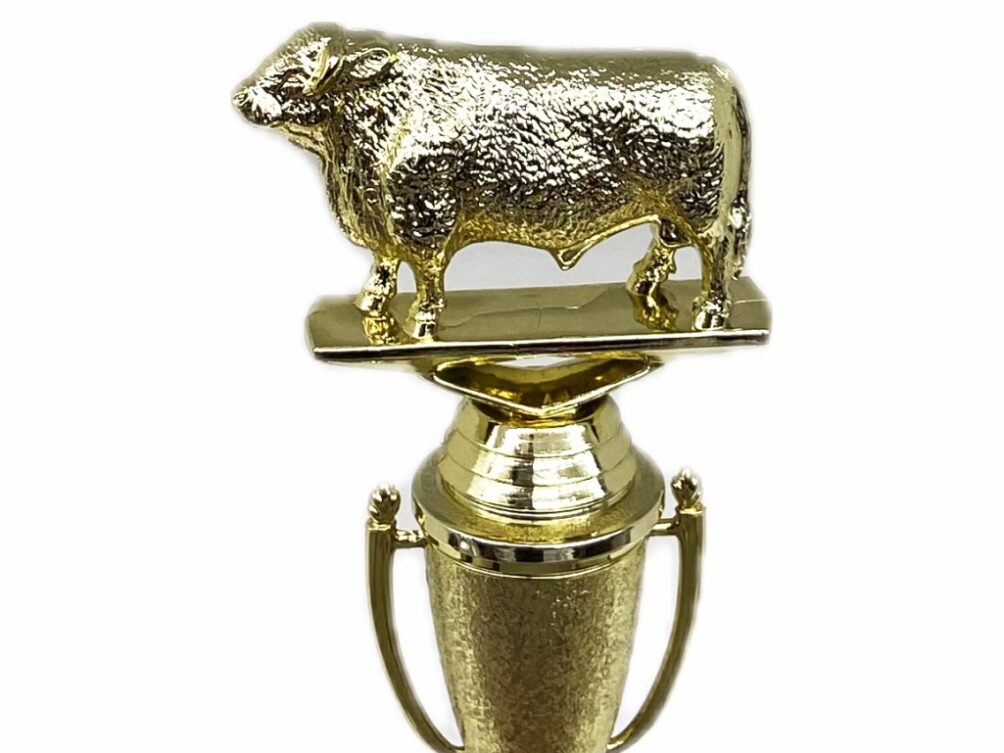 Hereford Bull Trophy 215mm