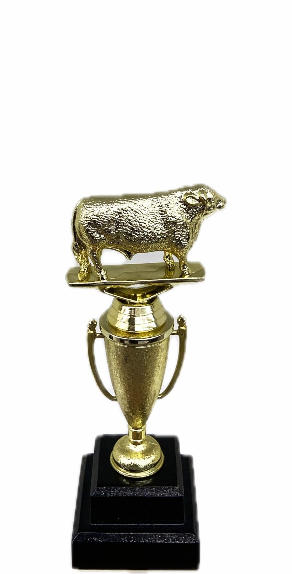 Hereford Bull Trophy 215mm
