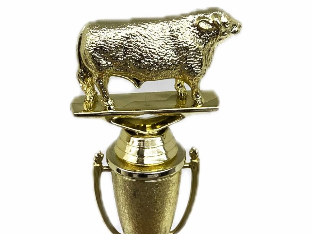 Hereford Bull Trophy 215mm