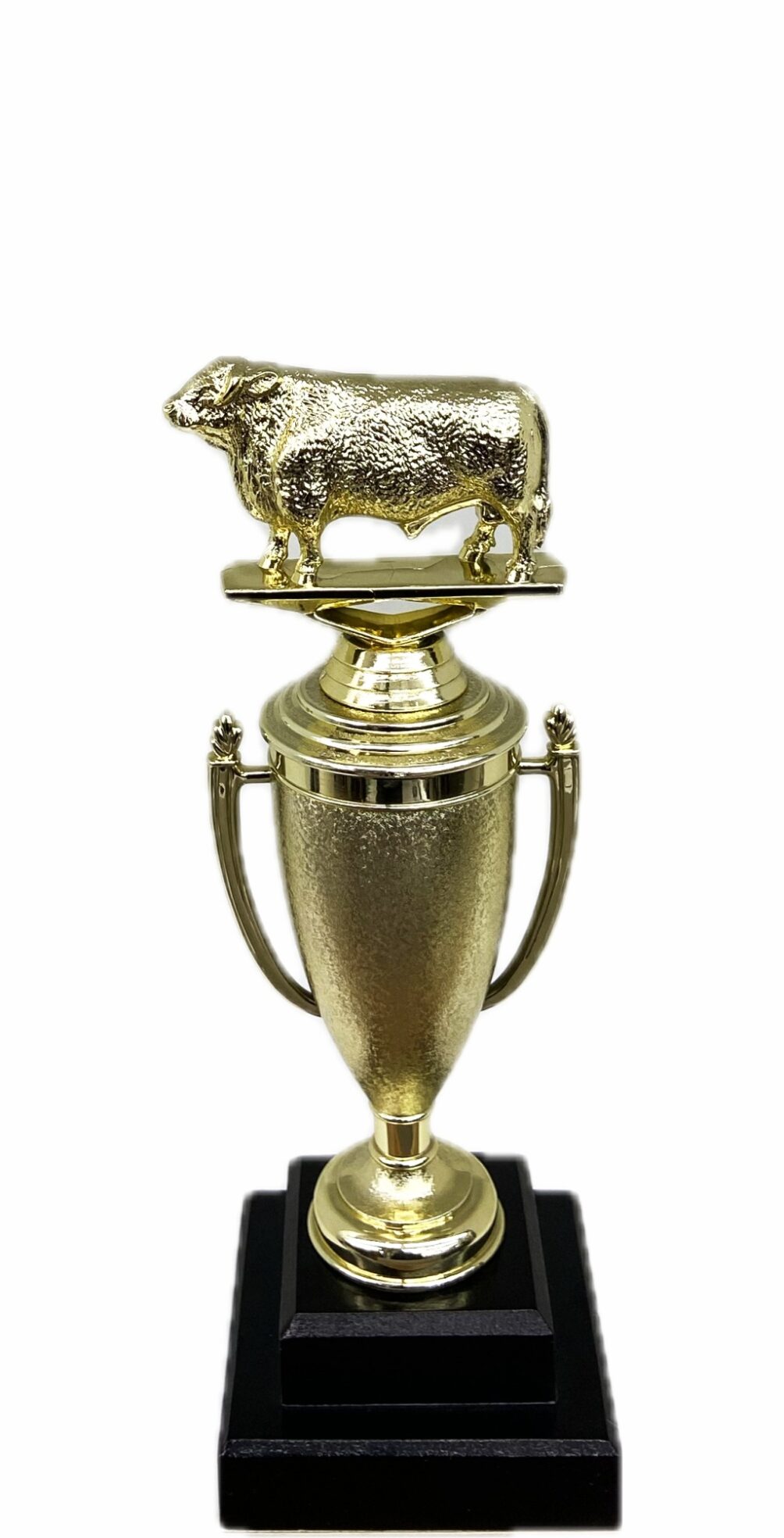 Hereford Bull Trophy 240mm