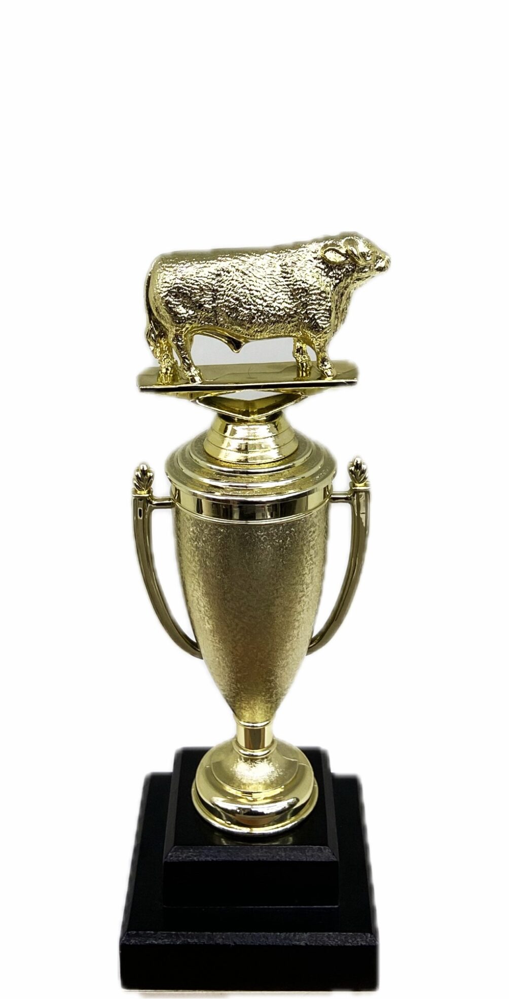 Hereford Bull Trophy 240mm