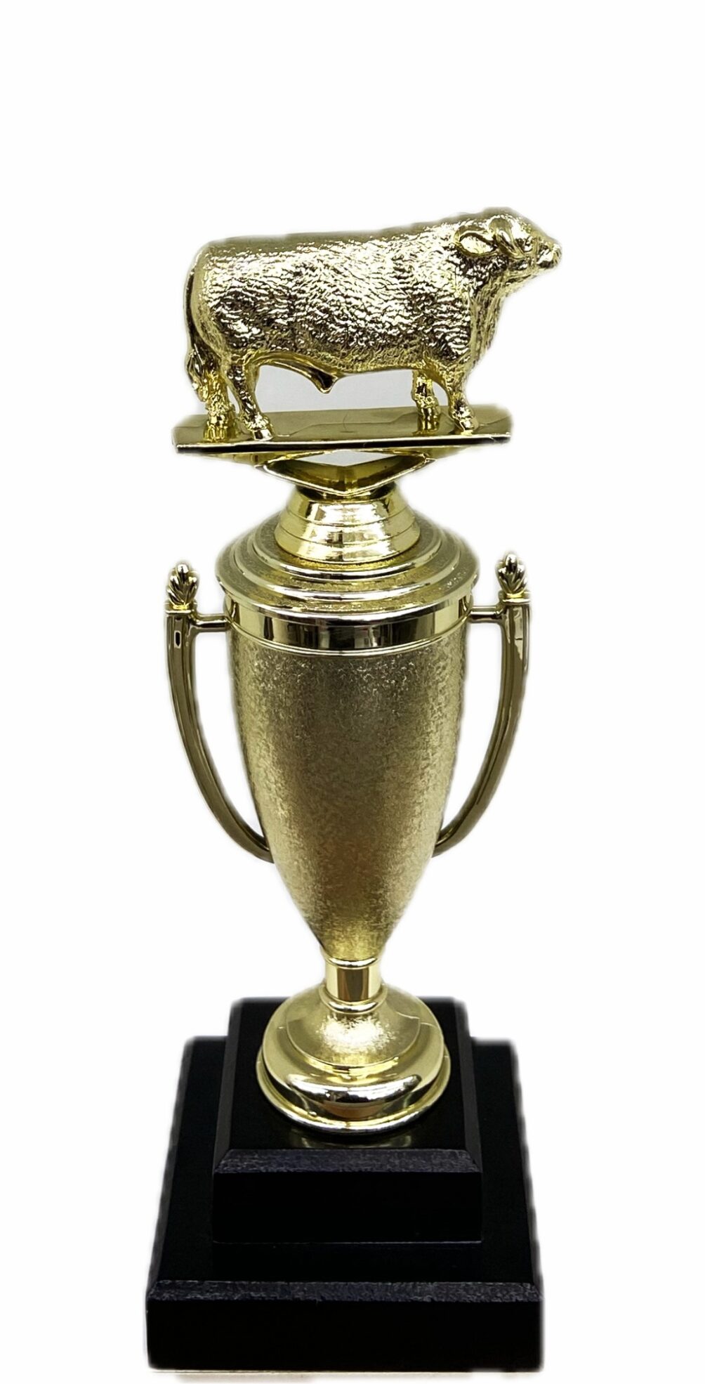 Hereford Bull Trophy 275mm