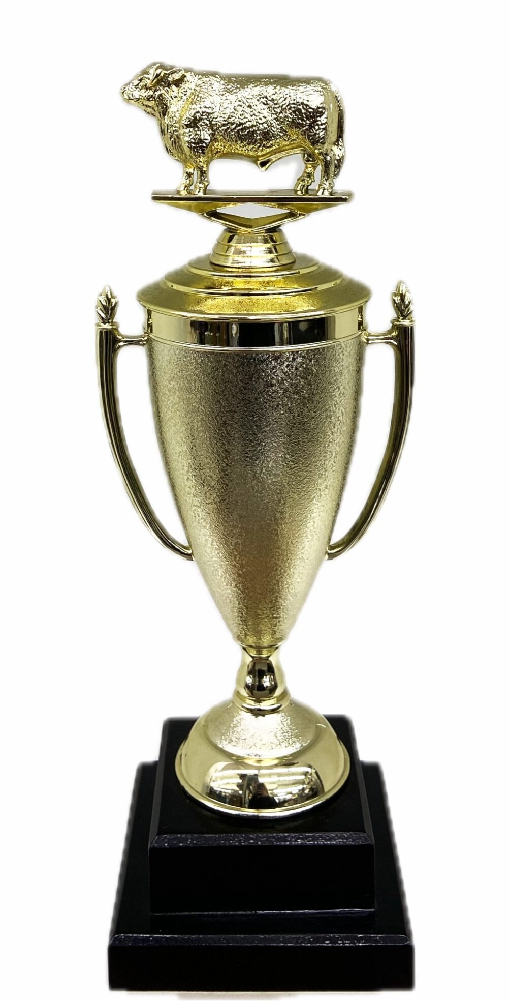 Hereford Bull Trophy 315mm