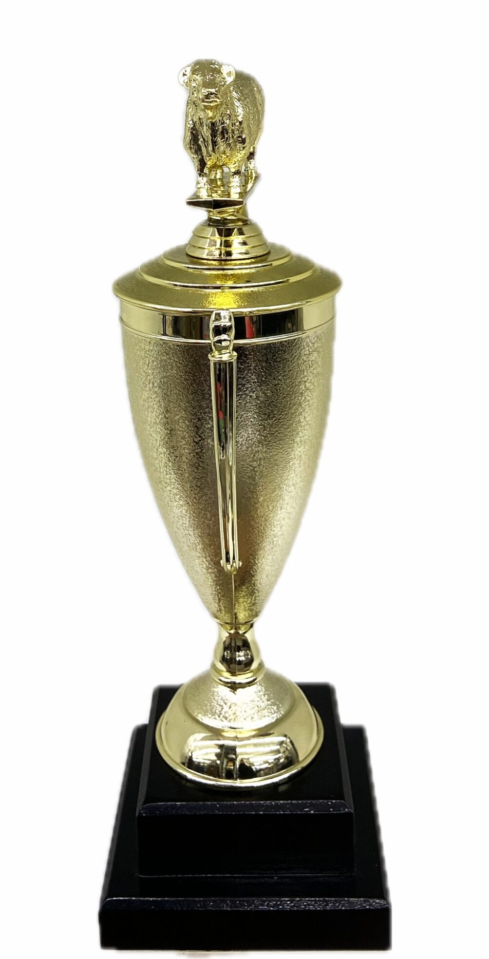 Hereford Bull Trophy 315mm