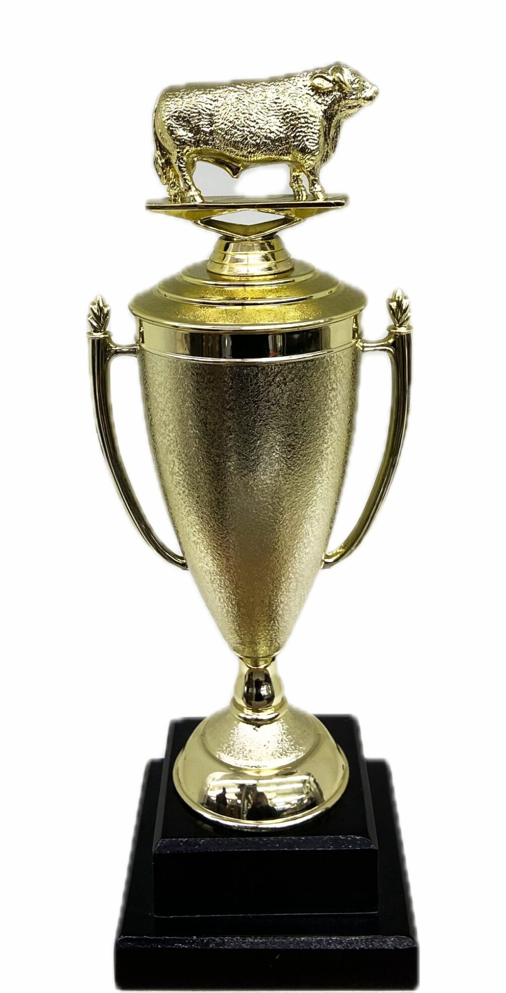 Hereford Bull Trophy 315mm