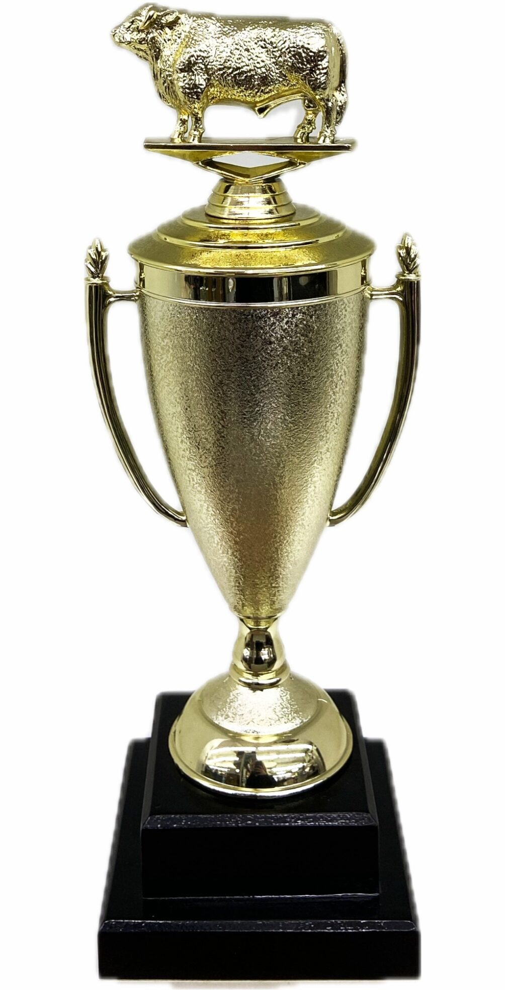 Hereford Bull Trophy 355mm