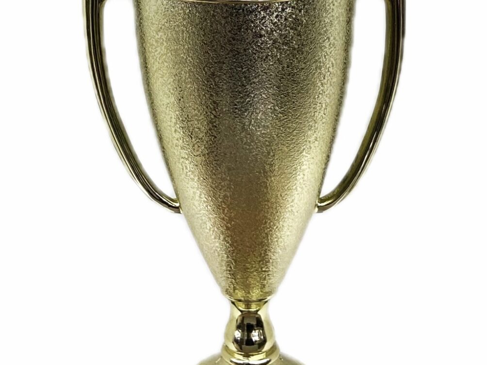 Hereford Bull Trophy 355mm