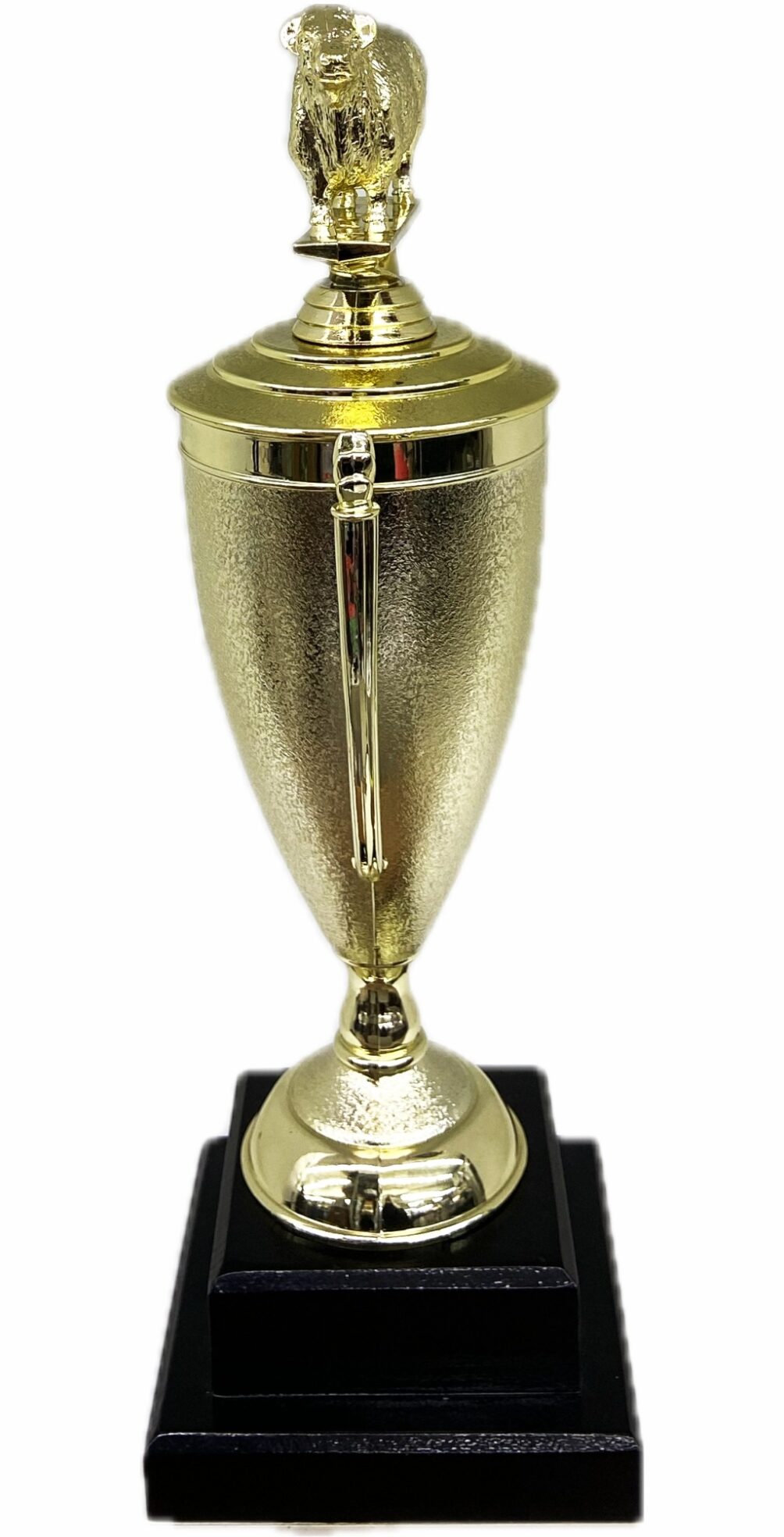 Hereford Bull Trophy 355mm